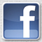 Facebook Icon Button